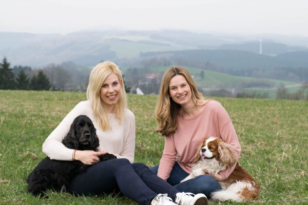 Gold­hund im Sauerland 